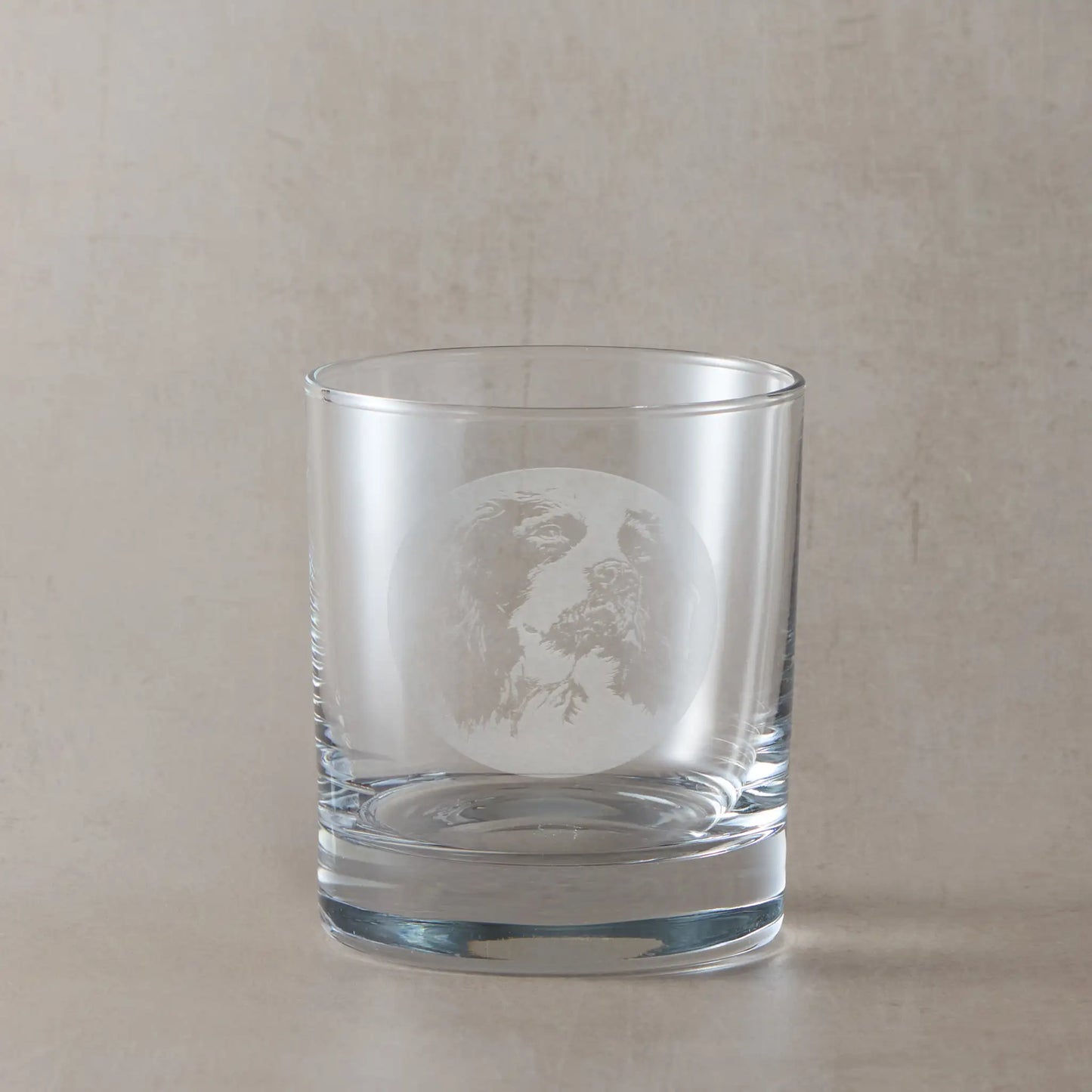 Whisky glass with engraved portrait of a English Springer Spaniel , on a pale background