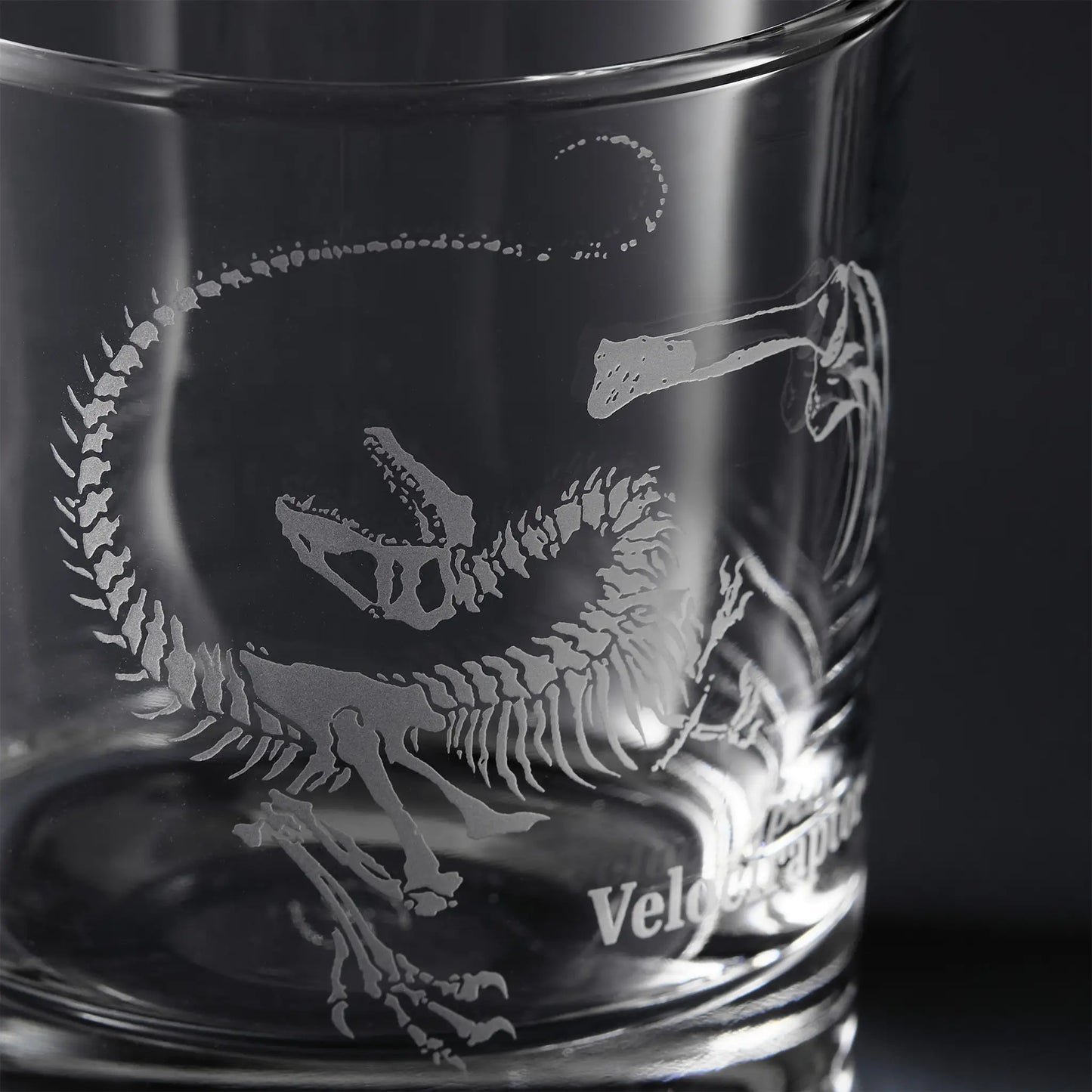 Clear glass tumbler with engraved dinosaur skeleton design and 'Velociraptor' text.