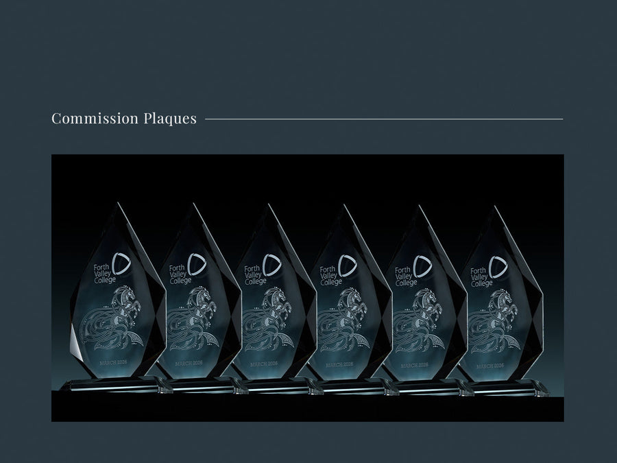 Six Presentation Awards for Forth Valley College Delegation