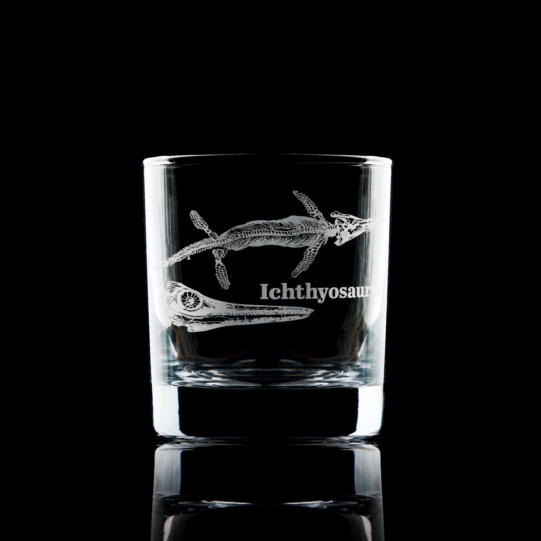 dinosaur fossil engraved whisky glass