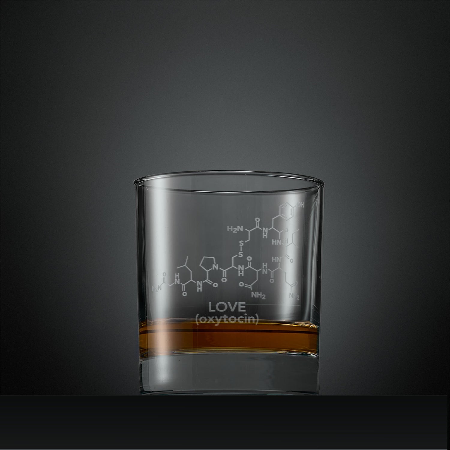 dinosaur engraved whiskey glass