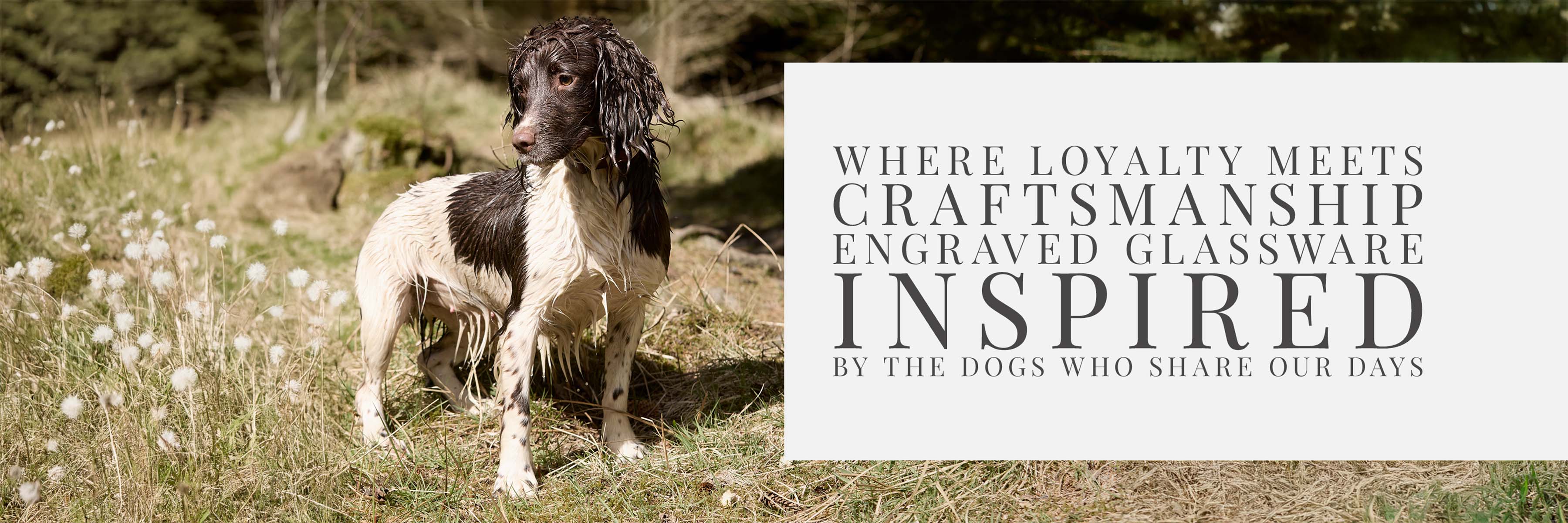 Dog Portrait & Pet Engraved Glassware