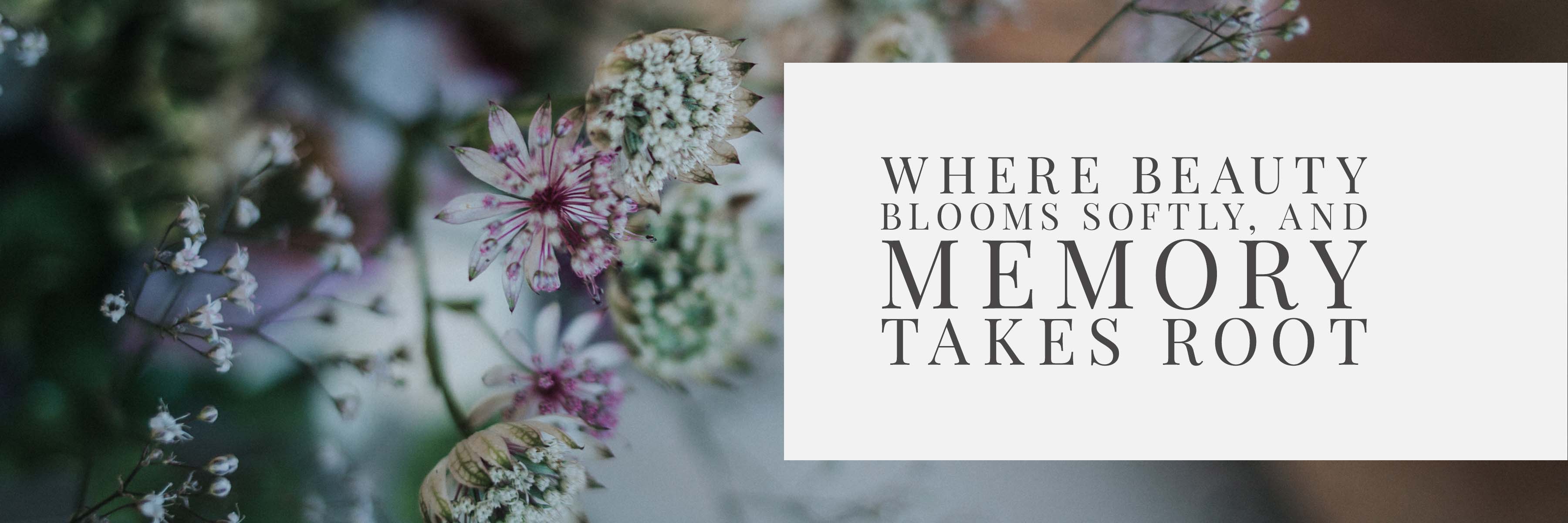 Close-up of wedding-bouquet flowers with soft focus and gentle light — banner image for the Le Jardin engraved glassware collection.