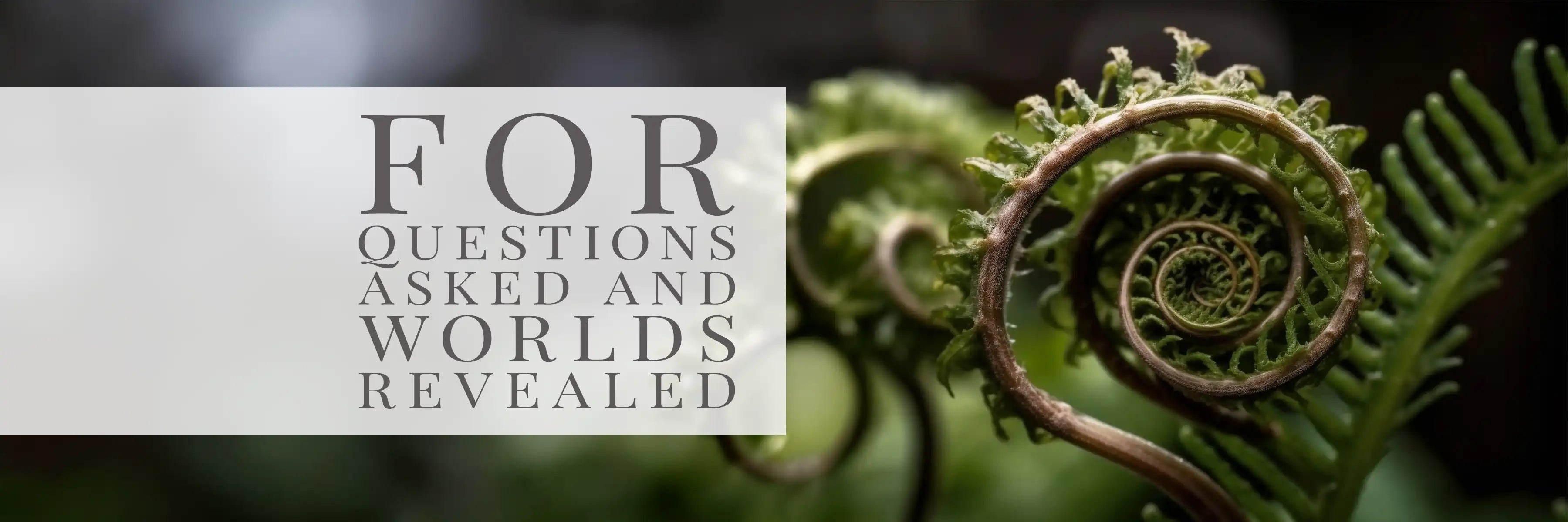 dinosaur engraved whiskey glass