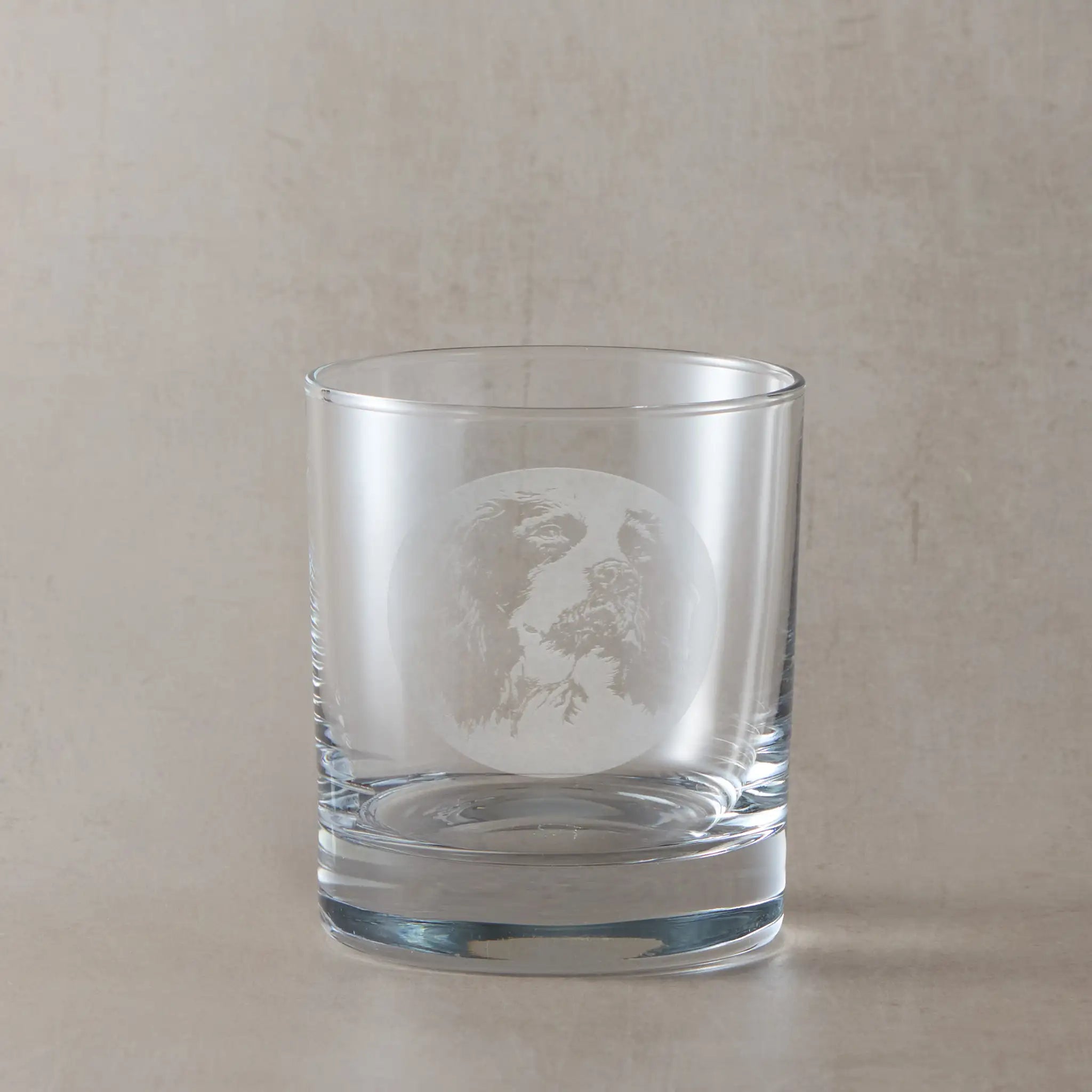 Whisky glass with engraved portrait of a English Springer Spaniel , on a pale background