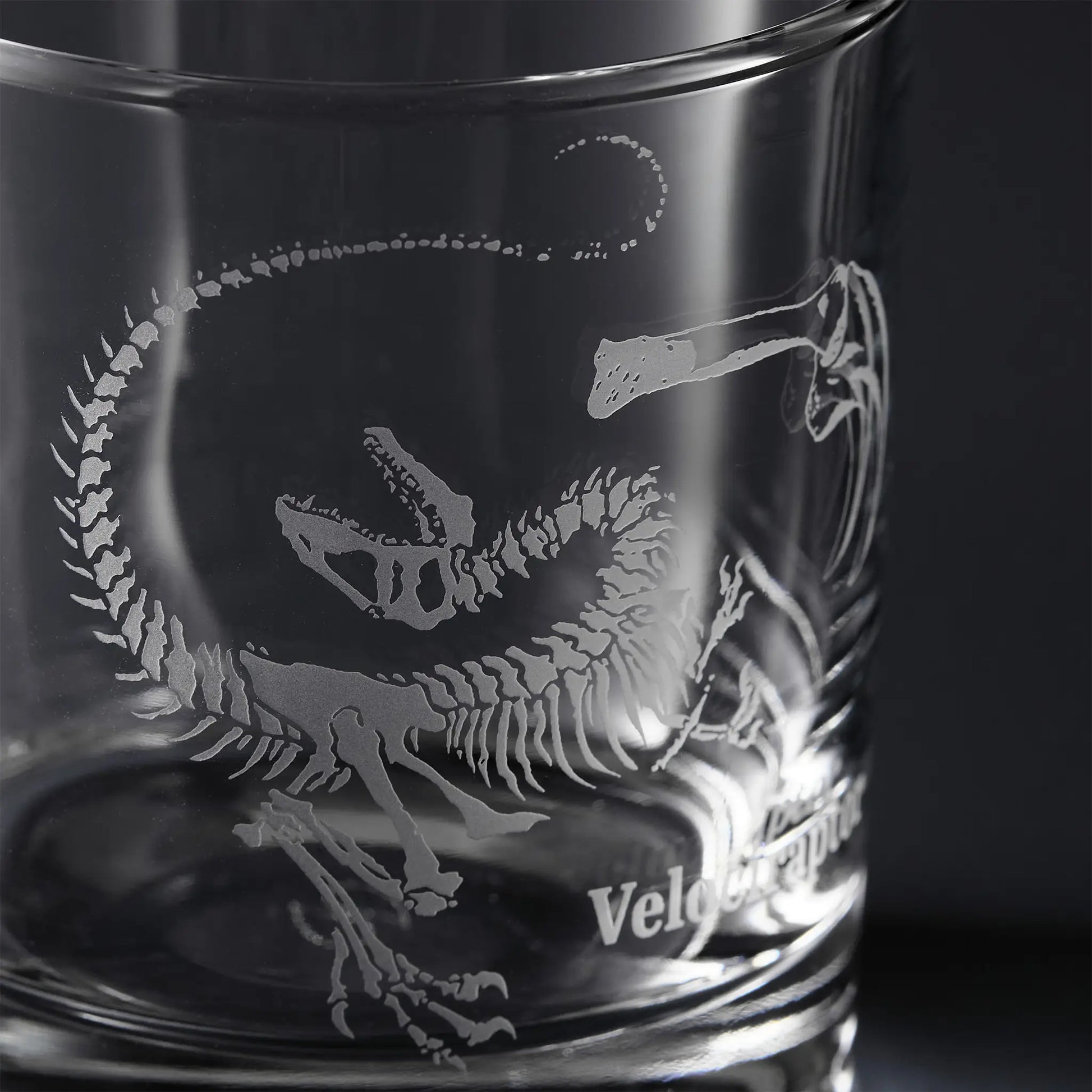 Clear glass tumbler with engraved dinosaur skeleton design and 'Velociraptor' text.