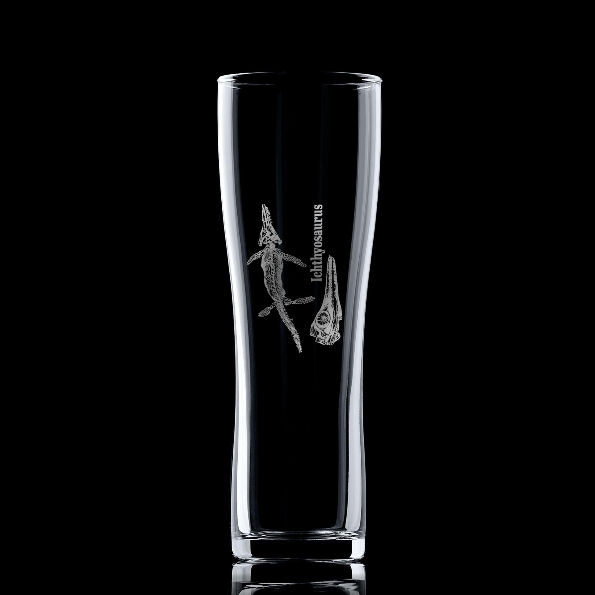 Engraved pint glass featuring a detailed Ichthyosaur fossil design – ideal for paleontology enthusiasts