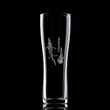 Engraved pint glass featuring a detailed Ichthyosaur fossil design – ideal for paleontology enthusiasts