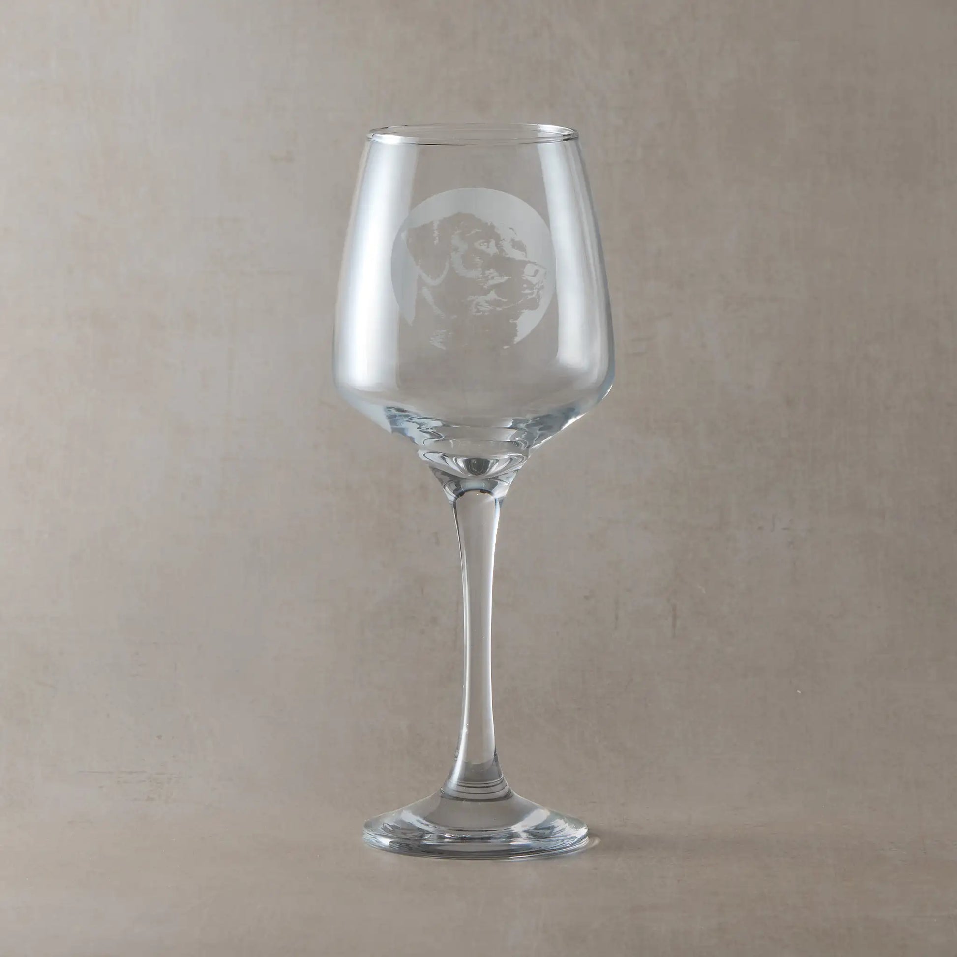 Wine Glass with engraved with portrait of a Labrador in circular frame , photographed in a pale background