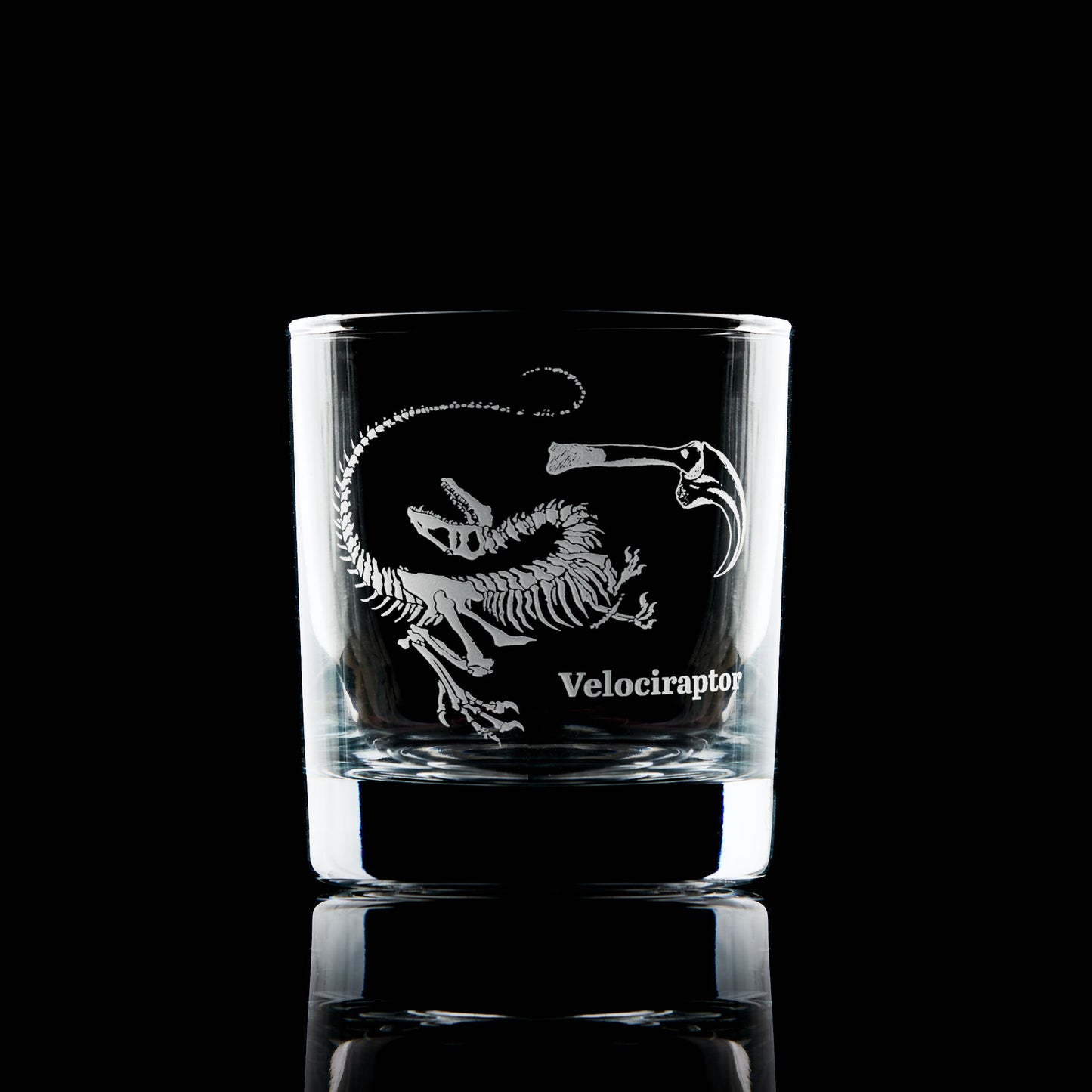Velociraptor fossil engraved whisky glass black background