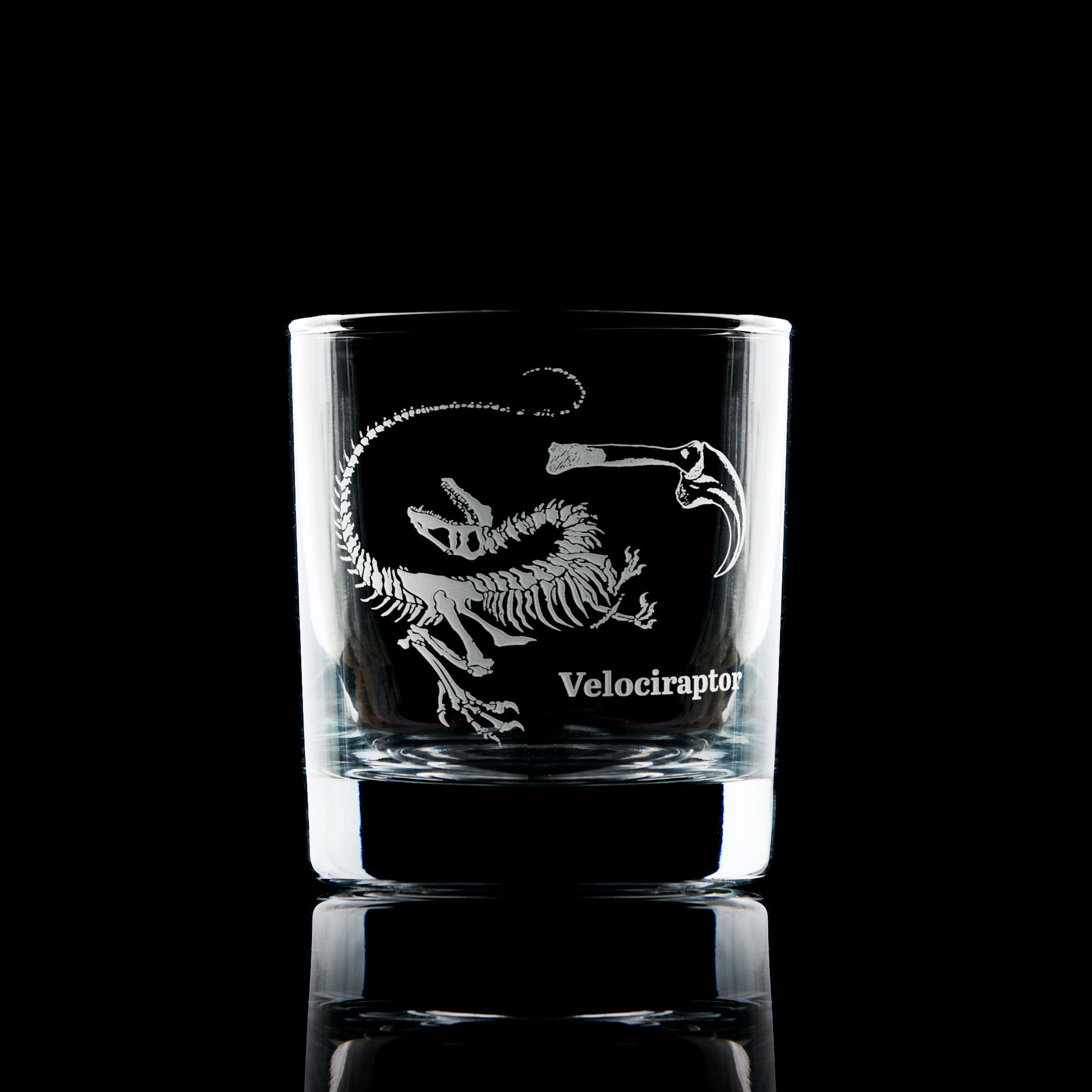 Velociraptor fossil engraved whisky glass black background
