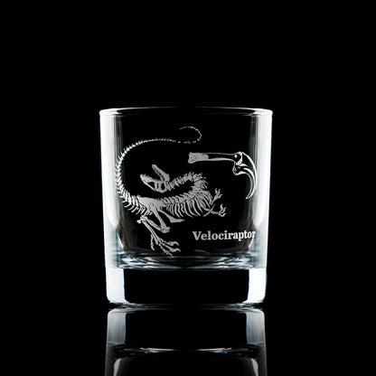 Velociraptor fossil engraved whisky glass black background