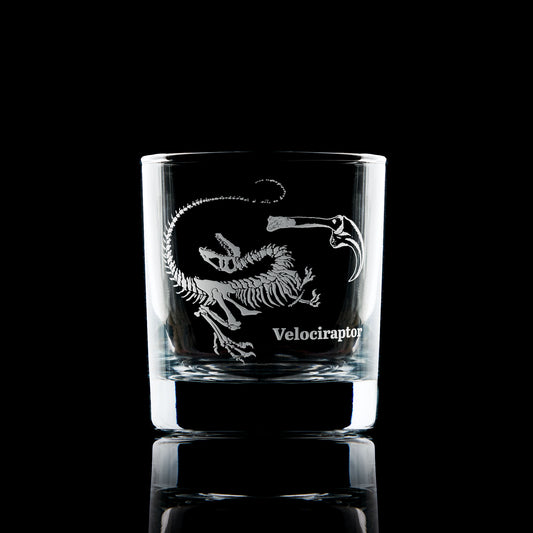 Velociraptor fossil engraved whisky glass black background