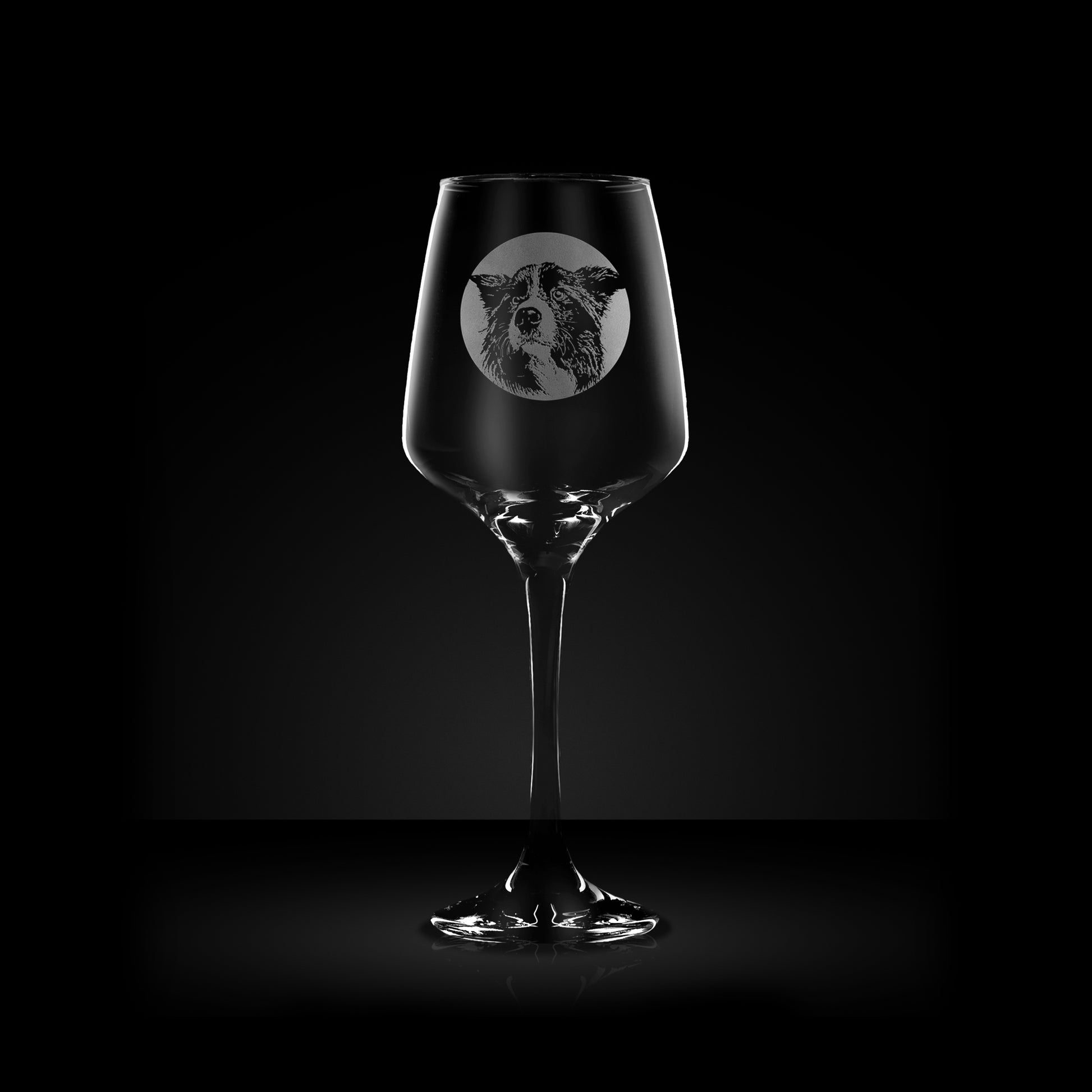 engraved wine glass etched with a portrait of a border collie dog