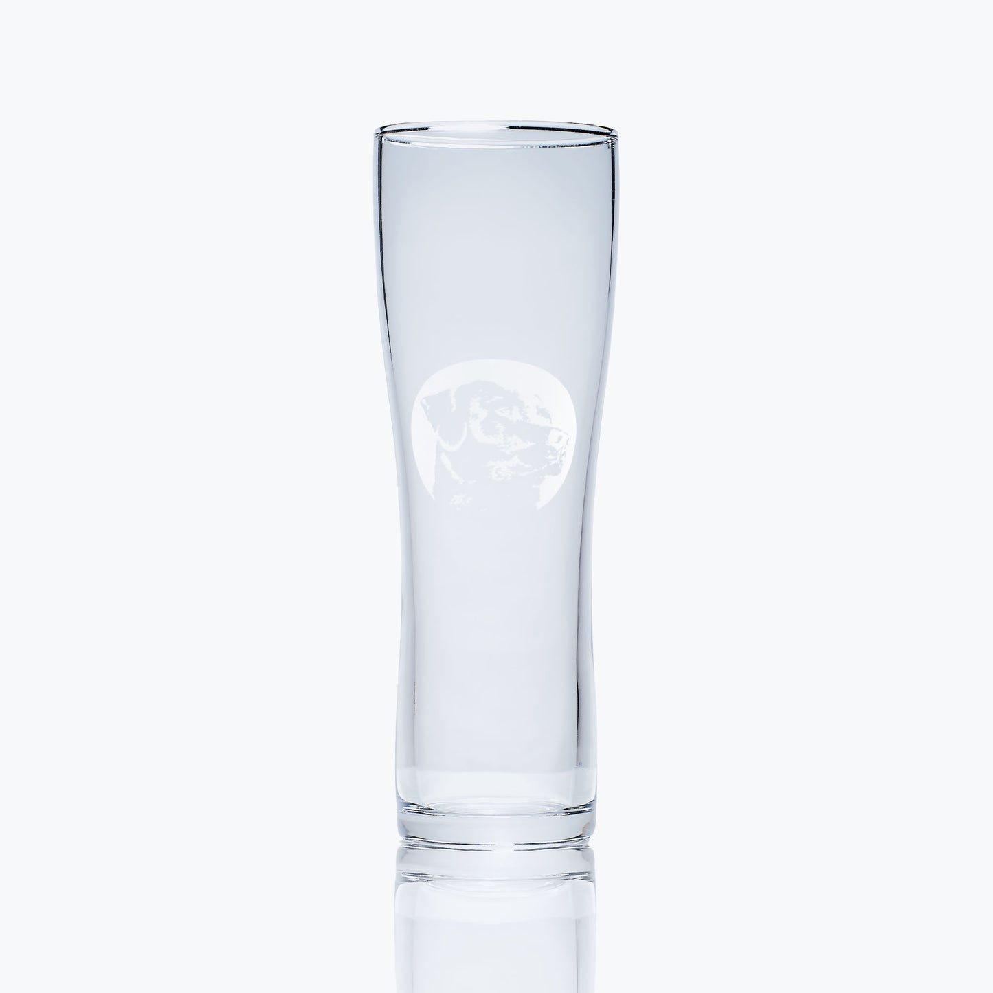 etched craft beer pint glass engraved with a portrait of a labrador dog