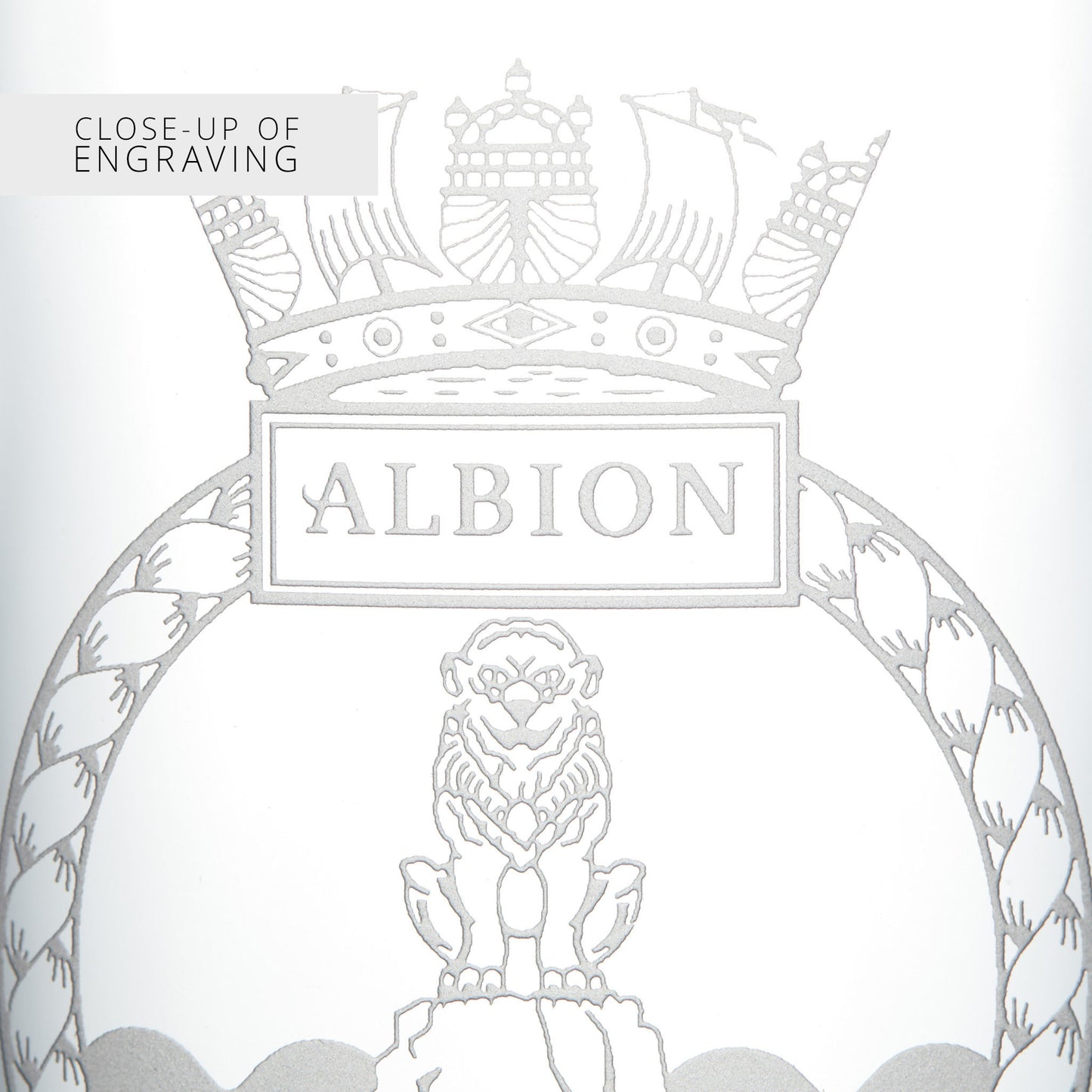 Close-up of engraved design with 'ALBION' text and lion and crown on a light gray background