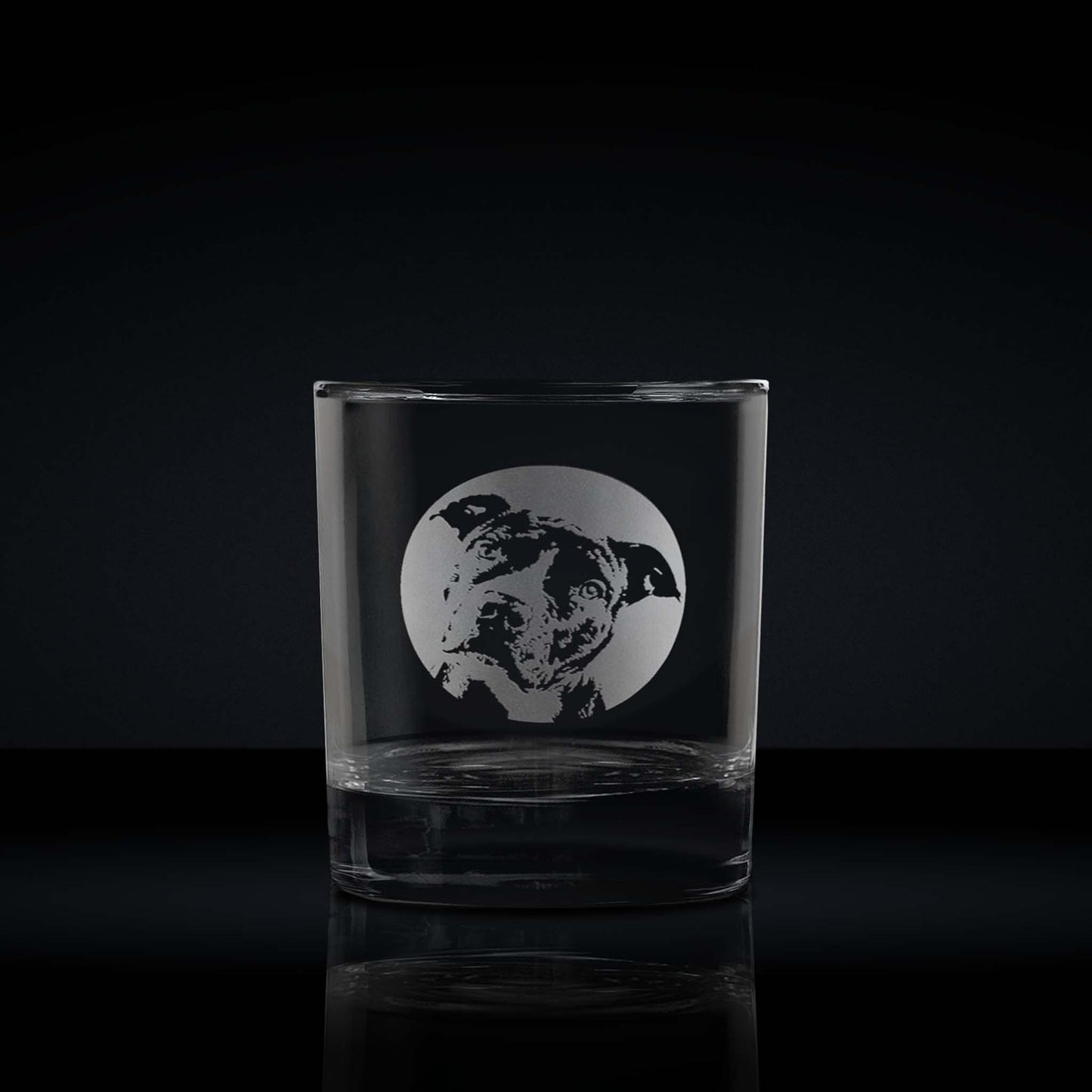 engraved whisky glass etched with a portrait of a staffordshire bull terrier dog