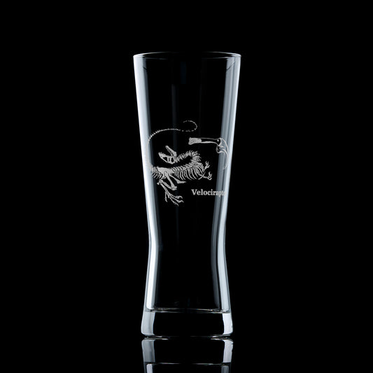 dinosaur pint beer glass engraved velocirptor