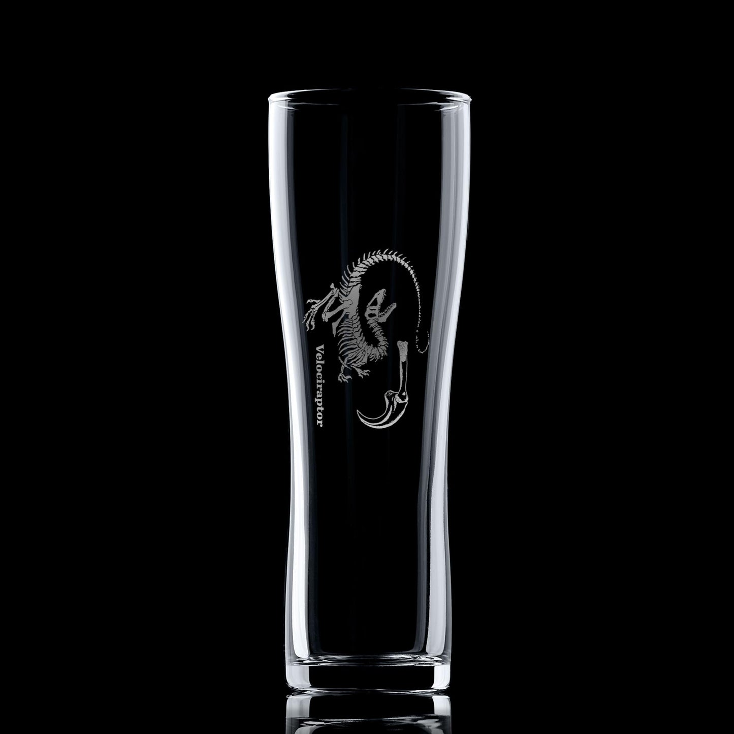 Dinosaur pint glass engraved with a Velociraptor fossil