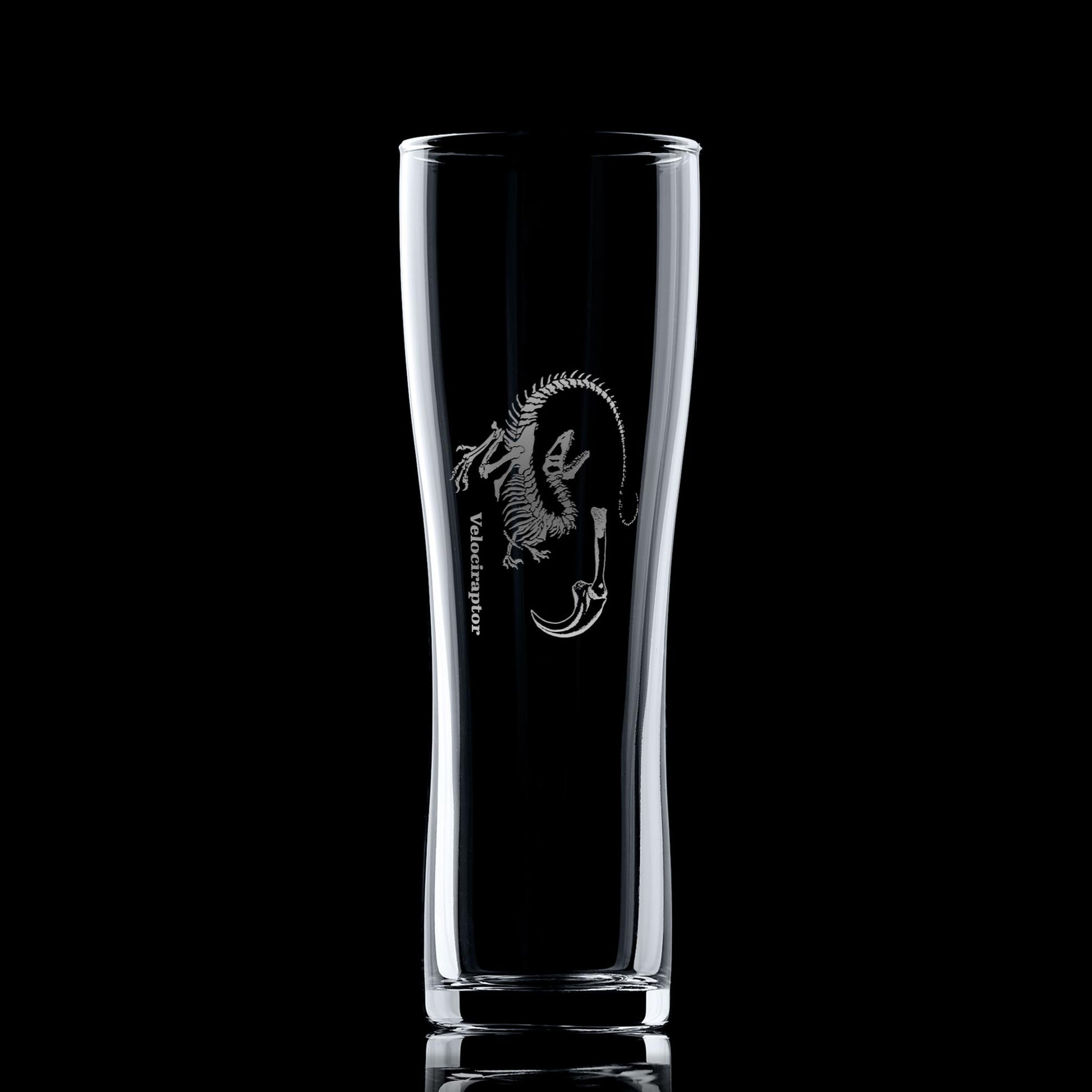 Dinosaur pint glass engraved with a Velociraptor fossil